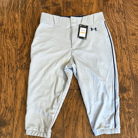 NWT!  Men’s UA men’s  Gray baseball Pants with Navy stripe, size small - Picture 2 of 7